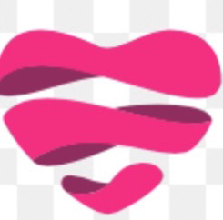 Студия Метелица