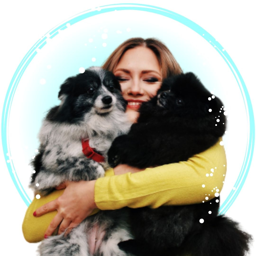 Салон груминга "GroomBar"