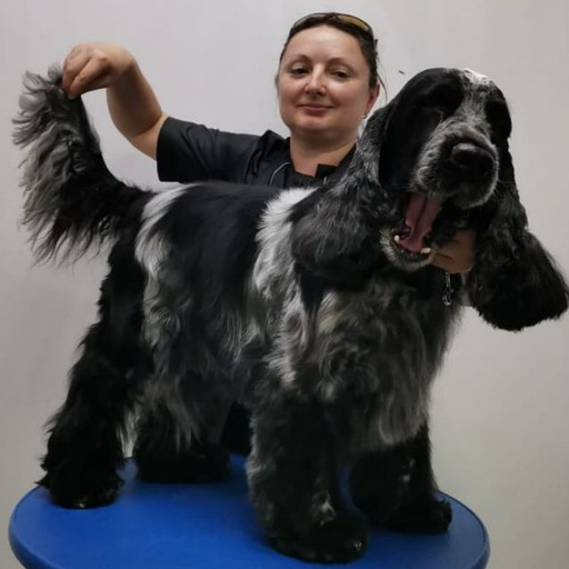 Груминг-студия Елены Сидоровой