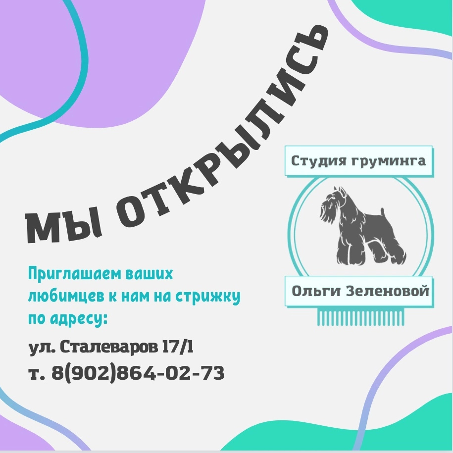 Студия Груминга