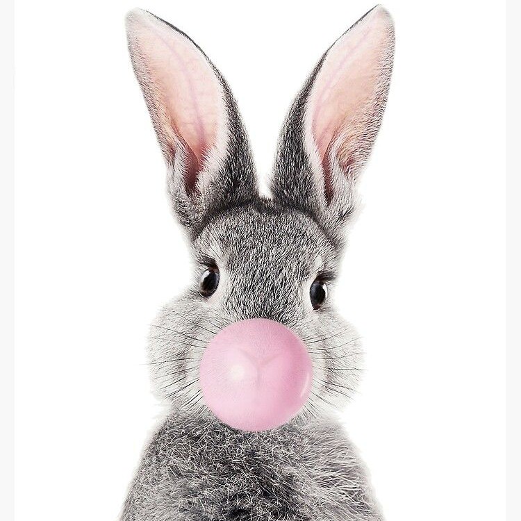 GREY RABBIT МАСТЕРСКАЯ РЕСНИЦ