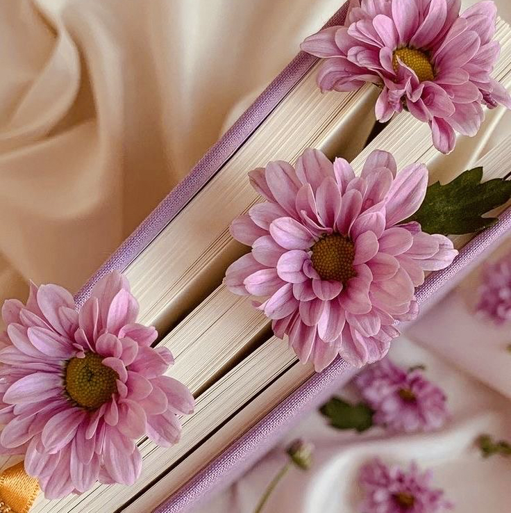 Наращивание ресниц, обучение