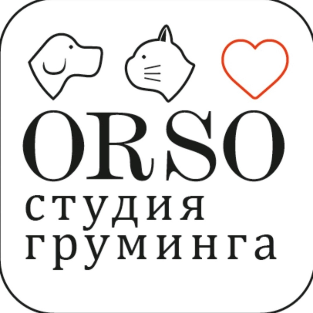 Orso