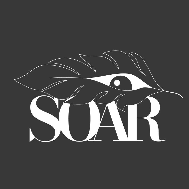 Soar