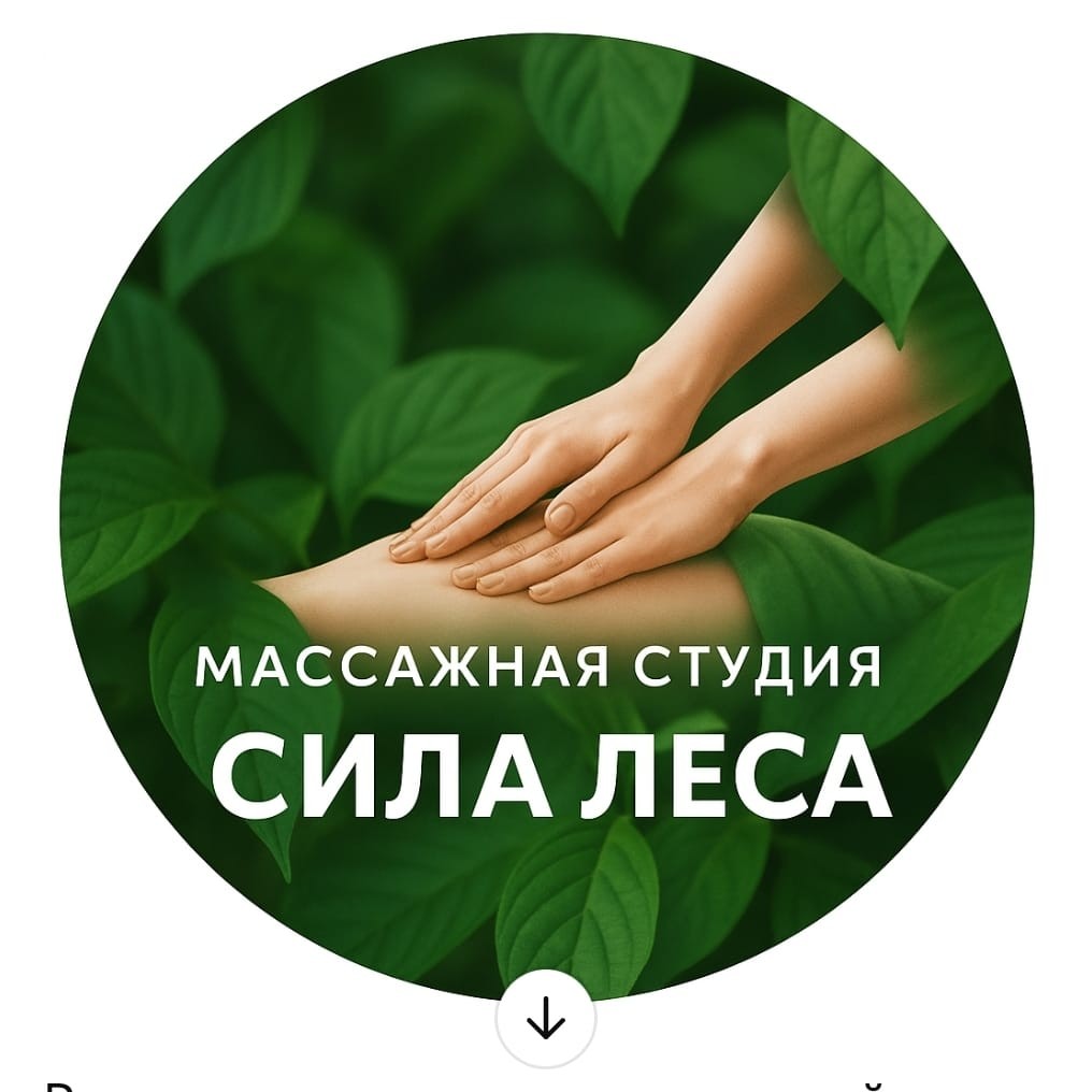 Массажная студия "Сила леса"