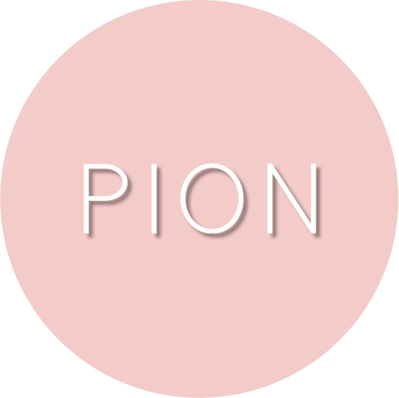 PION