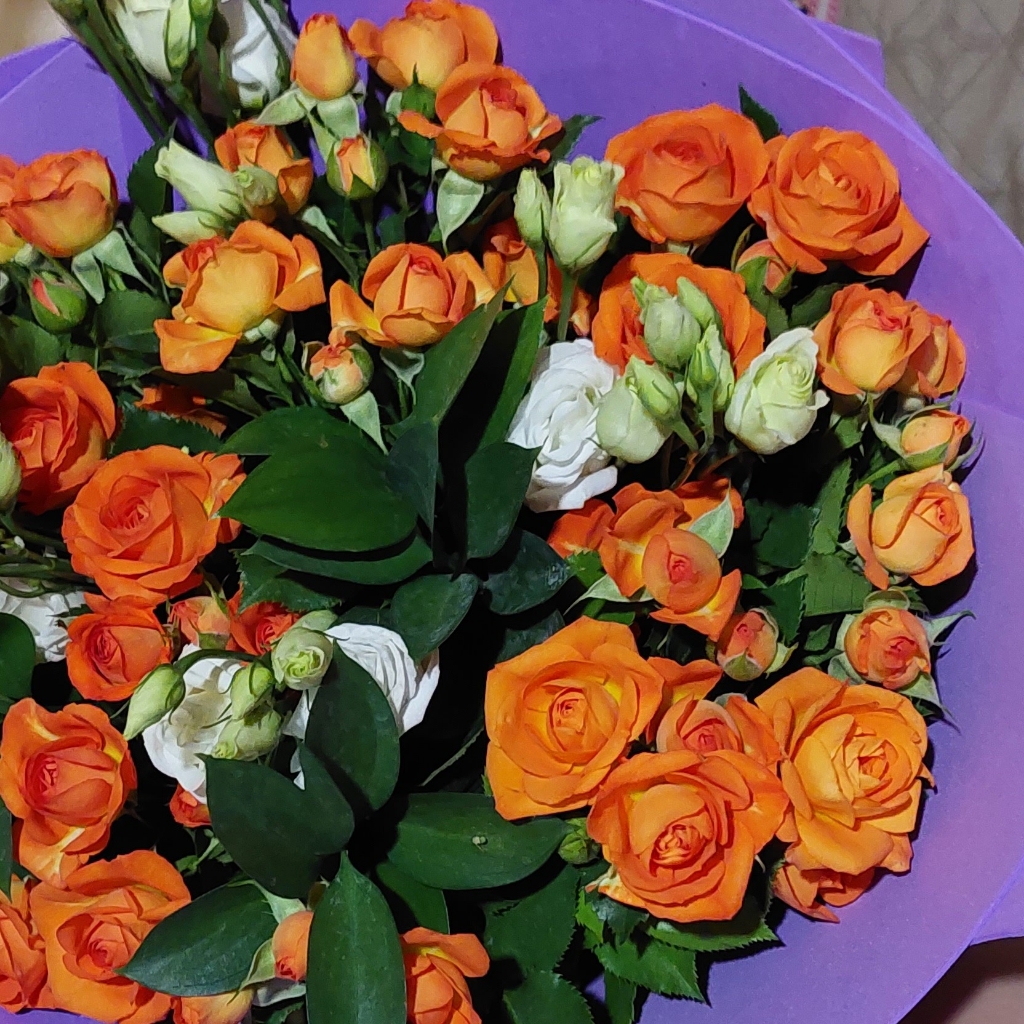 Бюро Красивых Услуг