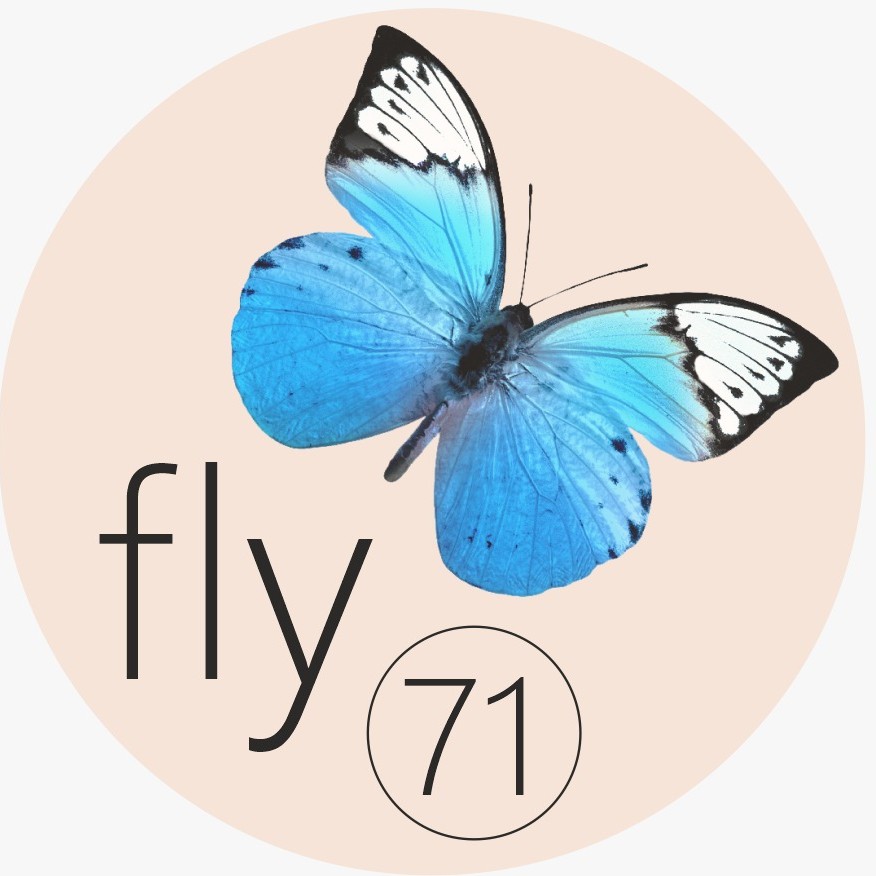 Fly7_1