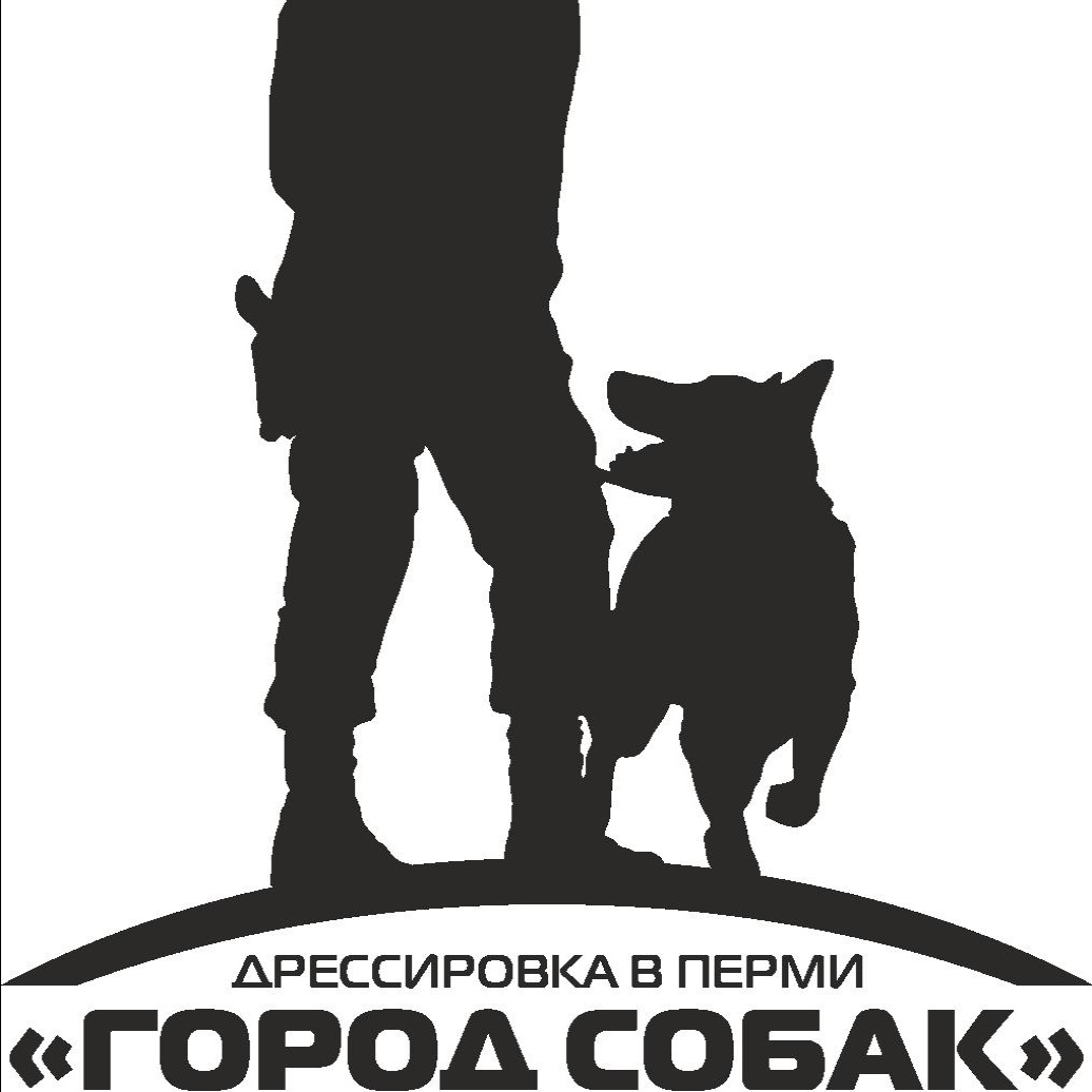 Город собак