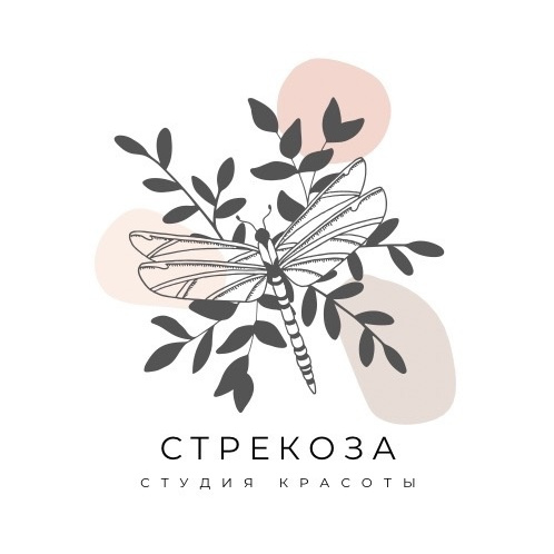 Стрекоза