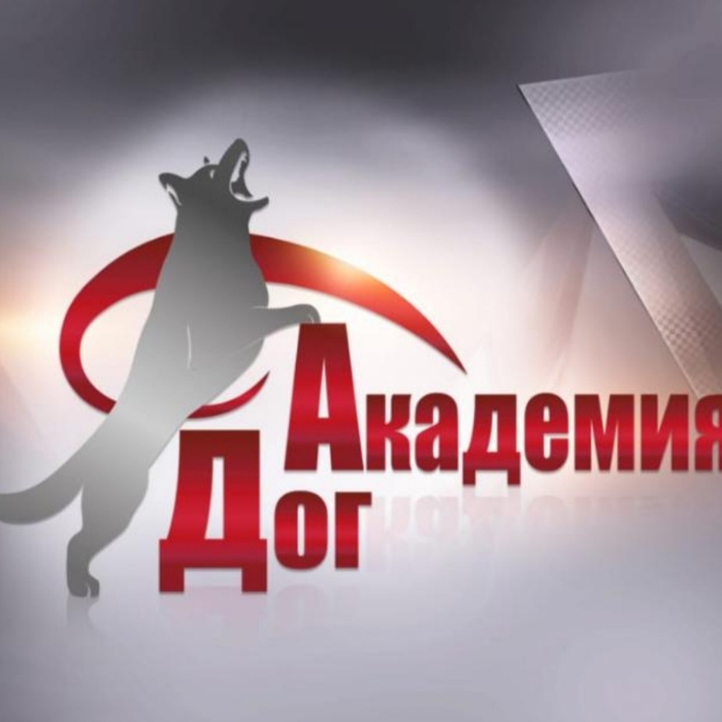 ХРОО СКК Академия Дог