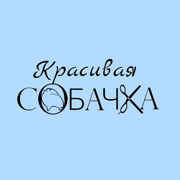 КРАСИВАЯ СОБАЧКА