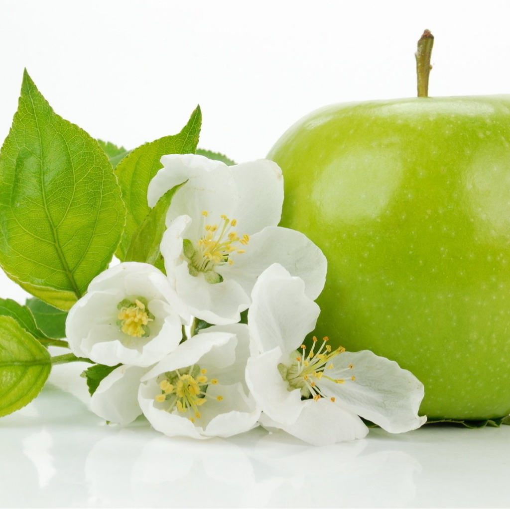 SPA салон красоты Bontabelle