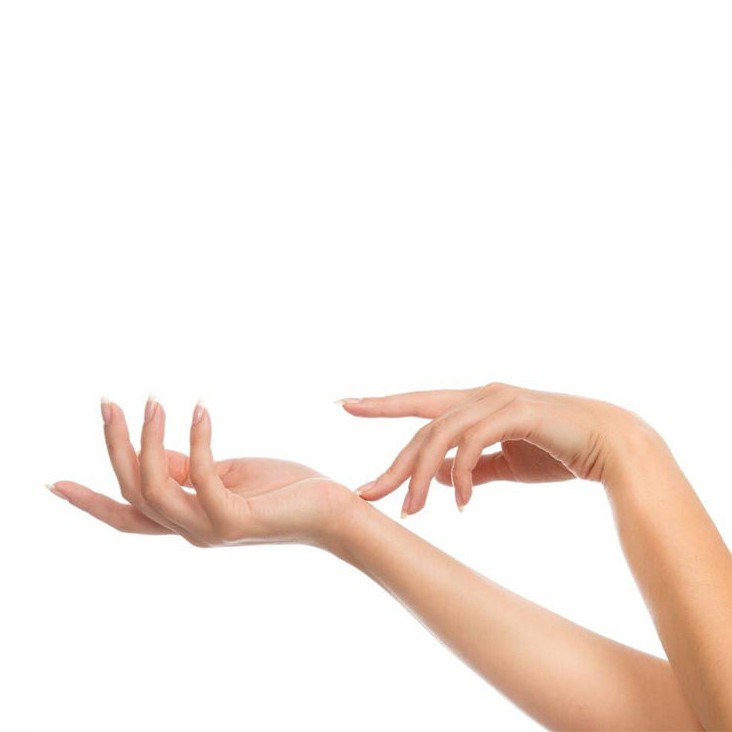 Кисти рук+пальцы