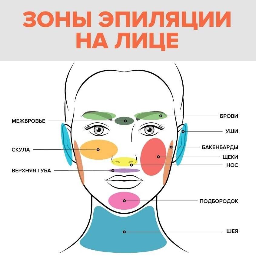 Лицо в круг