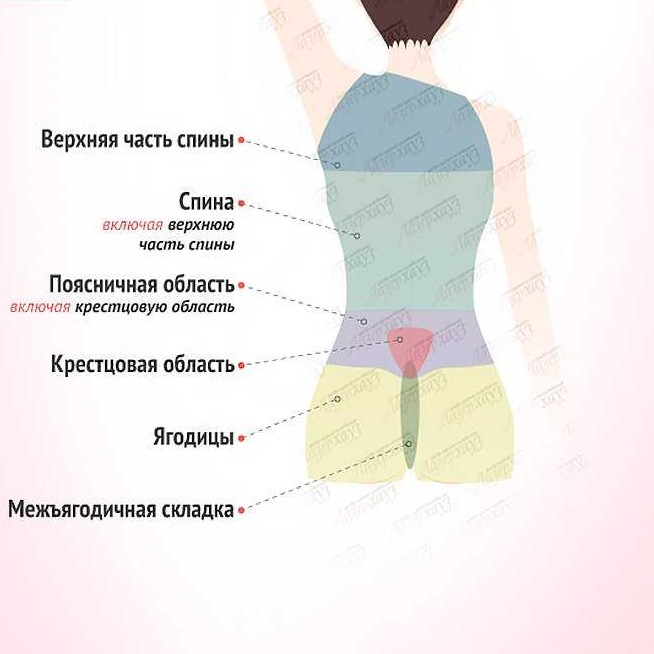 Спина полностью