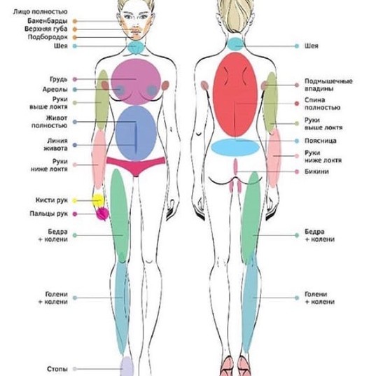 Ноги полностью