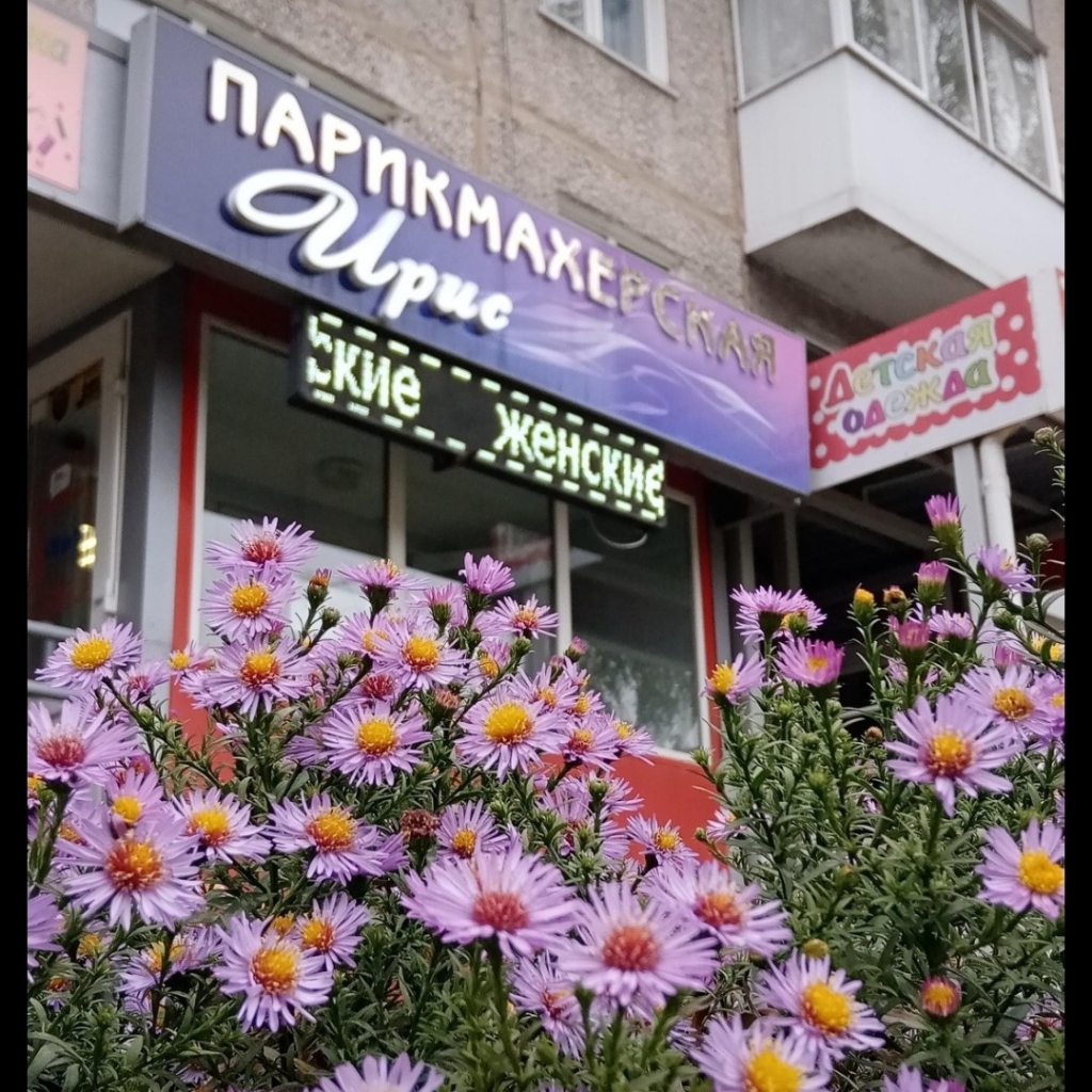 Ирис