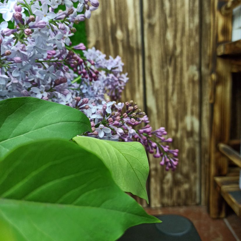 Парикмахерская «GaZon»