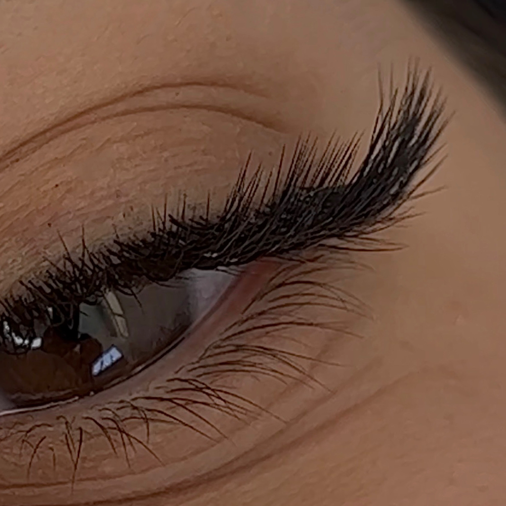 LASHES | BROWS