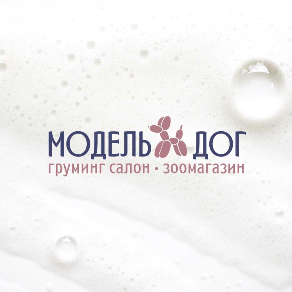 Модель Дог